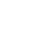 Icone microcirculazione